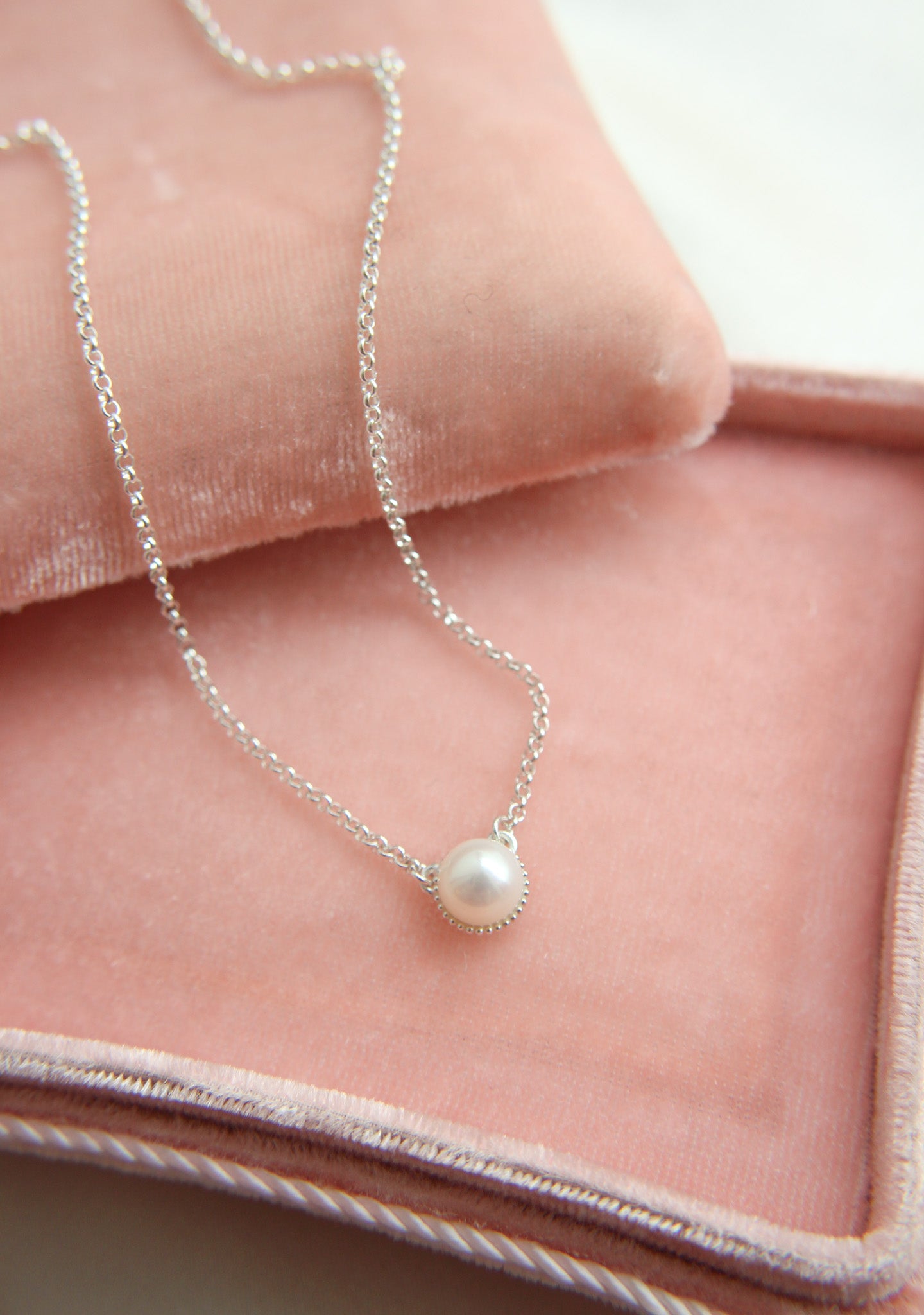 Samettinen Korurasia